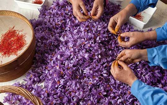 خواص زعفران برای اعصاب