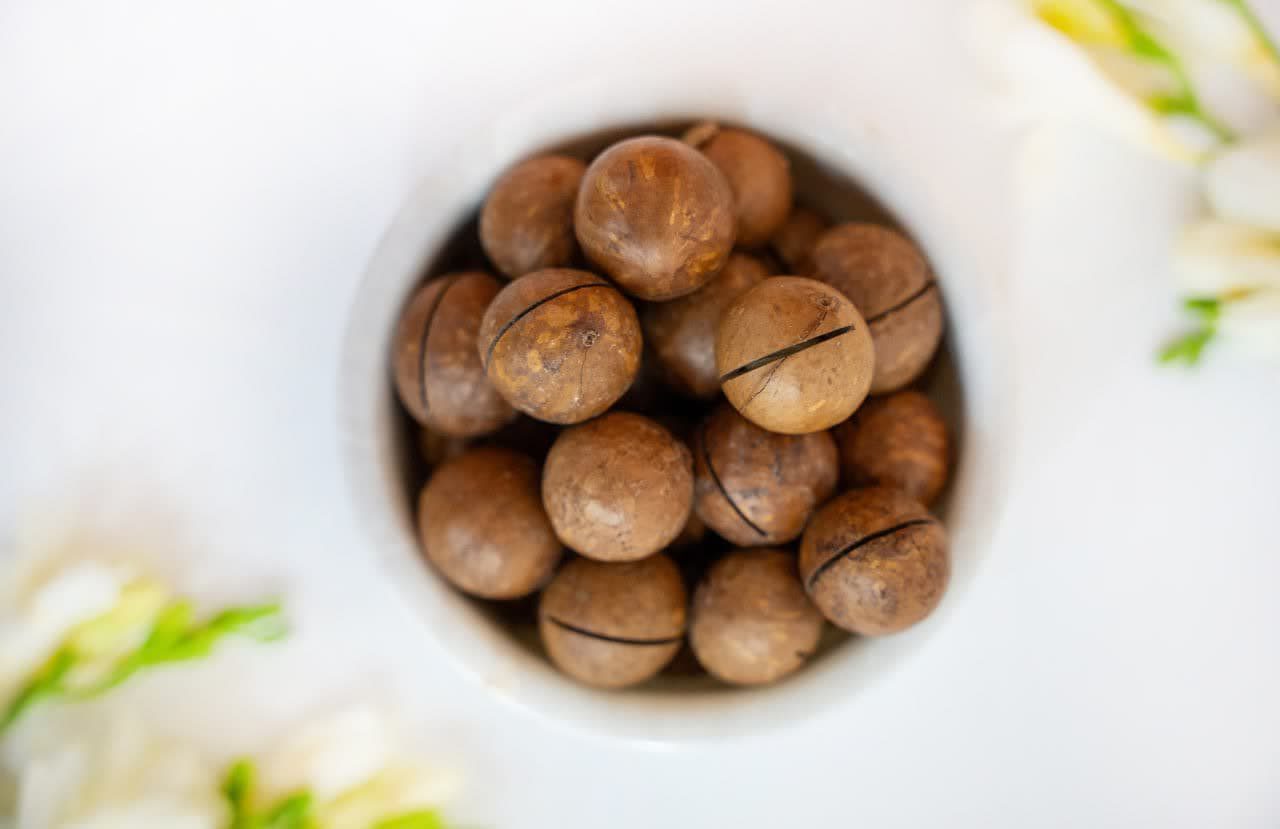 ماکادمیا چیست و چه خواصی دارد
